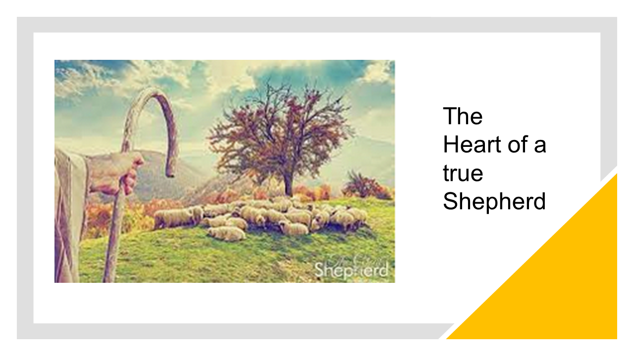 The Heart Of A True Sheperd Short Course